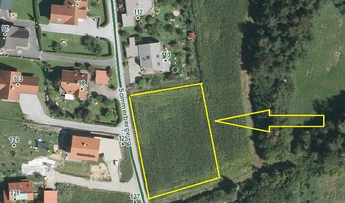 Building plot
