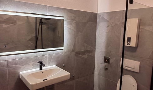 Freshly renovated 2-room apartment with balcony & elevator