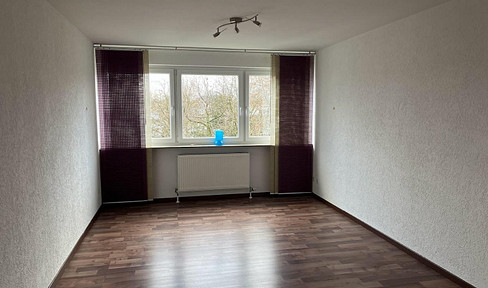 Very nice and bright 2.5-room apartment, renovated/modernized - commission-free