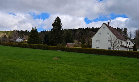 Idyll for people & animals & big, colorful ideas & rich opportunities