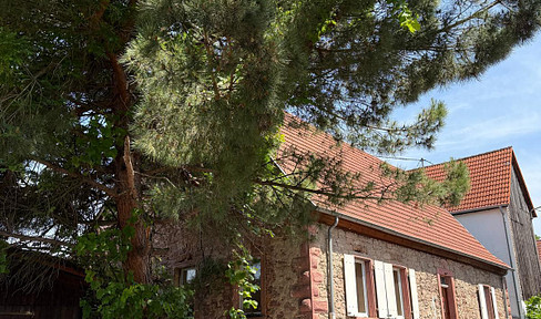 Charme & Gemütlichkeit! Historisches 1-3-Familienhaus in liebevolle Hände abzugeben