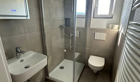 2-room apartment renovated in the Rod area - panoramic location