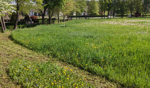 Private: Sunny building plot in southern Burgenland