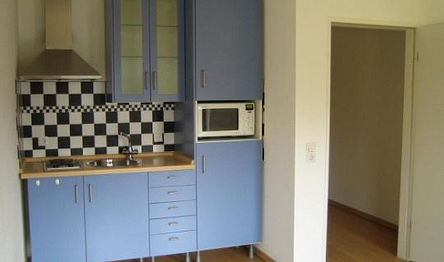 Beautiful apartment with terrace and garden