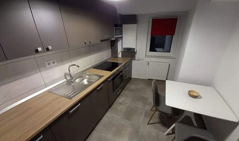 renovated 2-room apartment with balcony
