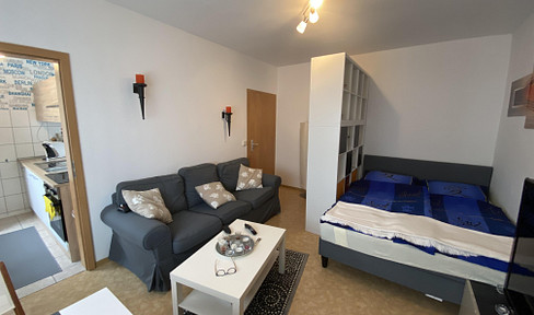 Furnished apartment seeks new tenant