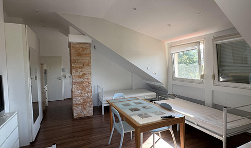 Modern 1-room apartment with fitted kitchen & top equipment incl. electricity & internet