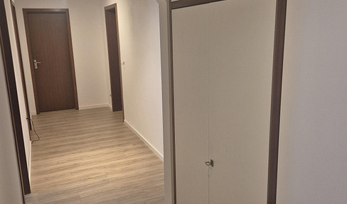 Newly renovated 3-room apartment with EBK
