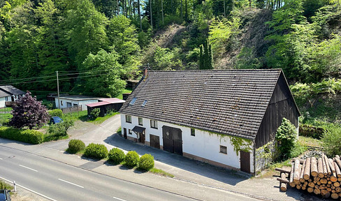 Farmhouse with workshop, barn and garden plot