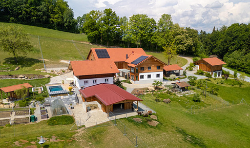 Exclusive farm - farmstead in a secluded location for keeping horses or other animals