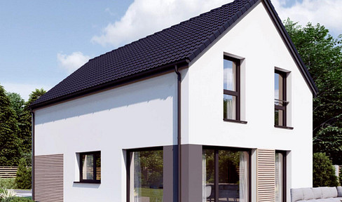 DAN-WOOD-FERTIGHAUS Hausserie POINT inkl. Fundamentplatte und Garage ohne GRUND!