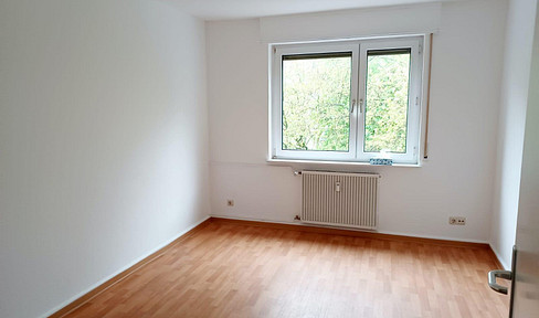 Beautiful, bright, freshly renovated 2 room apartment with EBK and balcony in Mainz - Kastell