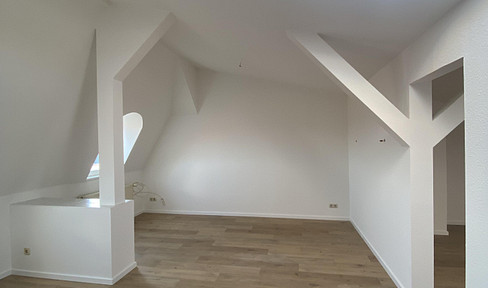 Bright and newly renovated top floor apartment in the center