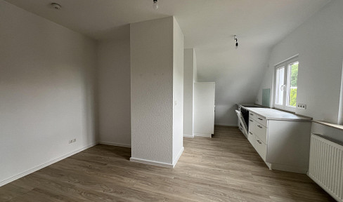 Charming 2-room attic apartment Buchrain