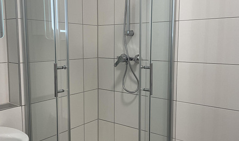 Beautiful 1.5 room apartment on the ground floor