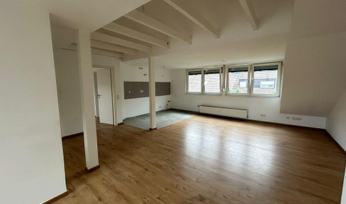 Bright DG apartment renovated