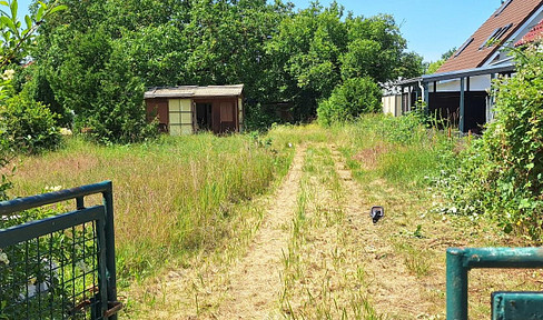 Building plot