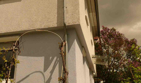 Small house with garden