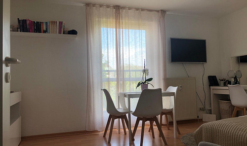 Bright apartment, top location Beuel, 50 m to Rhine promenade