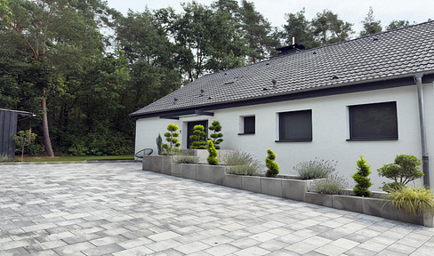 Detached house with basement and luxurious interior for sale on the edge of the forest