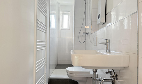 Modern renovated 3-room apartment with balcony