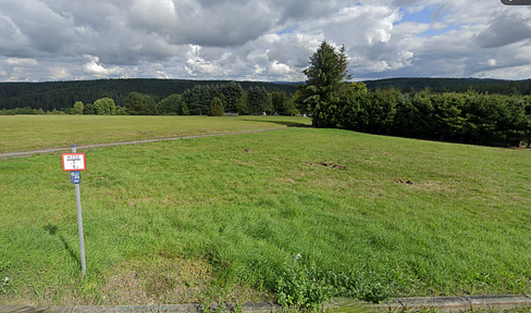 Provisionsfreies Baugrundstück mit Fernsicht in Bad Elster