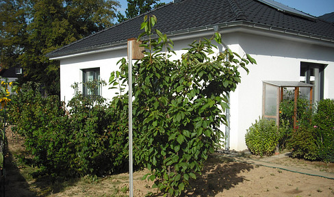 Bungalow with garage, Springe - Gestorf