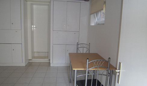 1 room basement apartment in a detached house