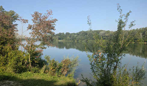 Dream location directly on the Greifenstein bathing lake! Spacious detached house with granny apartment