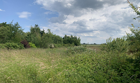 Traumhaftes Grundstück am Wasser - Grabower Bodden