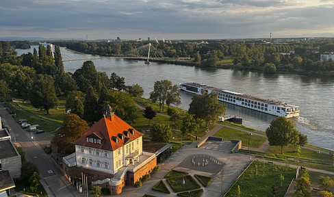 Spectacular views of the Ortenau region, the Rhine promenade, the garden show grounds, and the Strasbourg Minster.