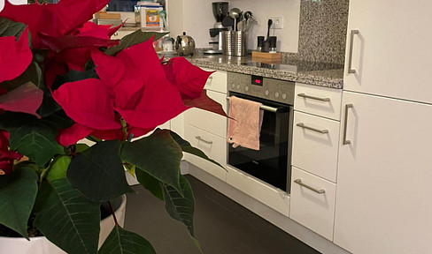 Great apartment in Rebstockpark