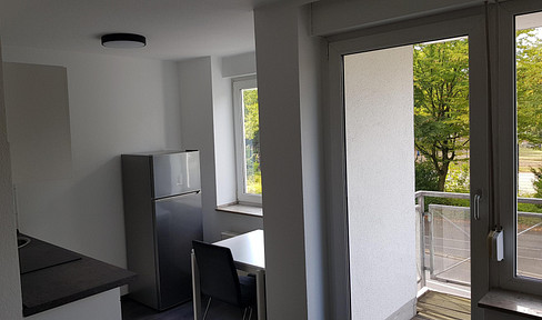 Bright furnished apartment with balcony & underground parking space near Benrath Palace