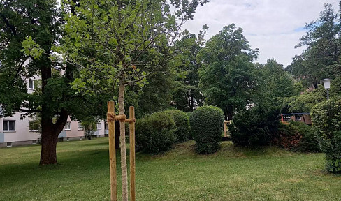Ansprechende 2-Zimmer-Wohnung mit großem West-Balkon, sofort beziehbar in Berg am Laim