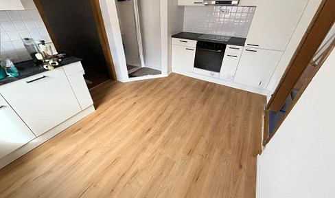 Lichtdurchflutete und modernisierte 3.5 Zimmer Wohnung mit Kamin Charme