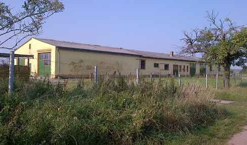Stable building, large horse stable, or sheep shed with a green area.