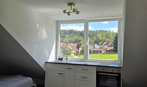 1-Zimmer Wohnung im Grünen