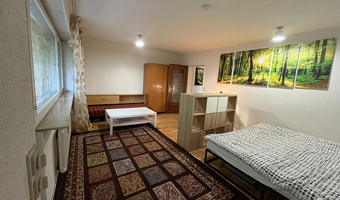 Bright, furnished, quiet, central, by the forest, with 2 terraces