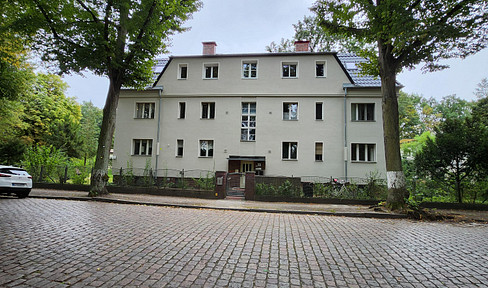 Beautiful newly built 3 to 4 room top floor apartment with walk-in wardrobe and roof terrace. Interior and roof terrace