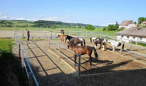 Gepflegter Pferdehof Aktivstall mit Halle und RP nahe Schweizer Grenze *keine Maklergeb*