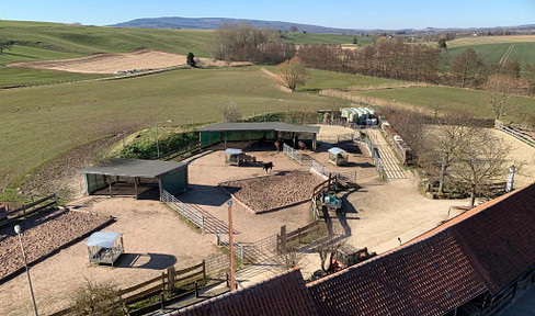 Beautiful farm / horse farm