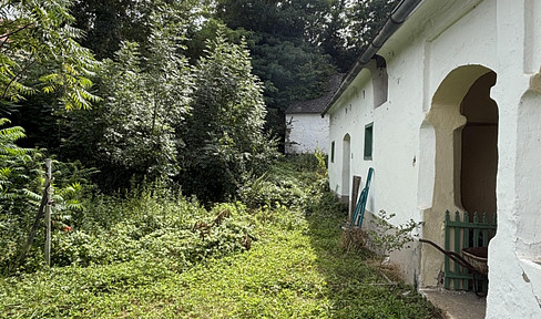Grundstück mit altem, verwilderten Hausbestand