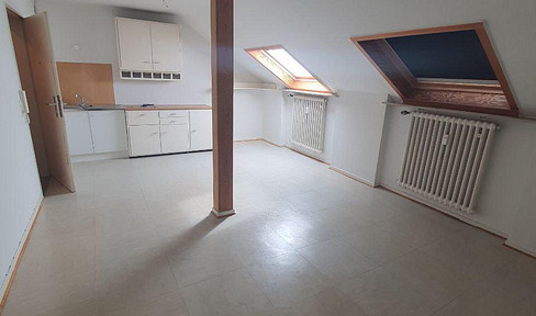 Nice apartment 1 room+kitchen+bathroom