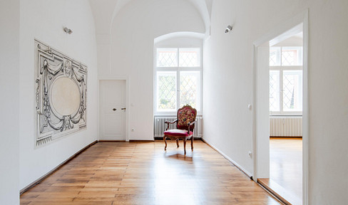 Elegant apartment in an old building