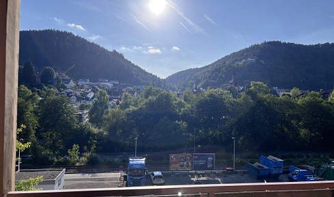 Spa, nature & tranquillity - furnished apartment with a view in Bad Liebenzell