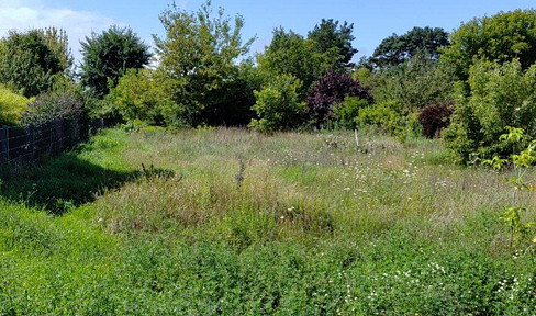 Plot ready to build on in a quiet location in Kaulsdorf