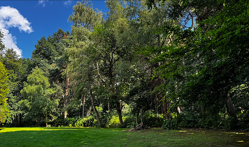 Sun-drenched natural domicile with vacation flair in the Wannebach valley