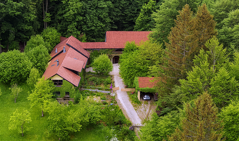 Traumanwesen für Naturliebhaber - 12.000 m² Alleinlage, nahe Skigebiet & Golfplatz, Pferdehaltung