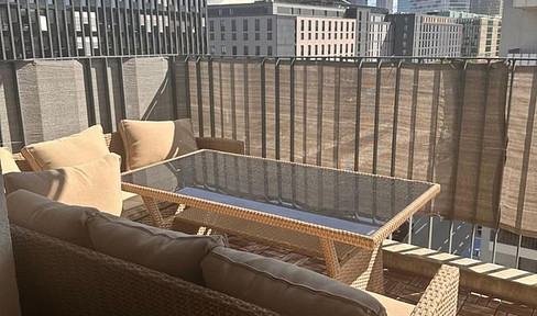 Fully furnished 2-room apartment for rent with skyline view in Gallus
