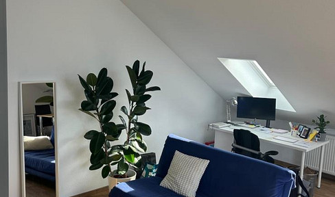 1.5 room apartment in a quiet location directly at the Schönbusch landscape park in Aschaffenburg-Nilkheim